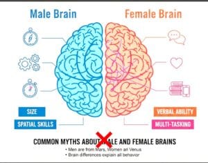Gender Psychology- Brain Differences
