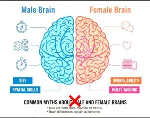 Gender Psychology- Brain Differences 